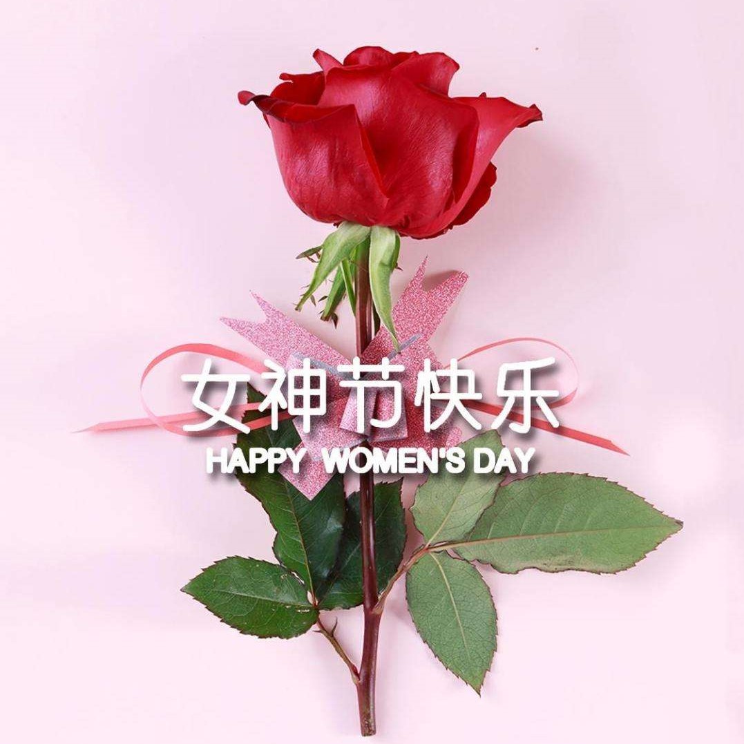 女神節(jié)特輯丨以醫(yī)療力量，筑女性健康